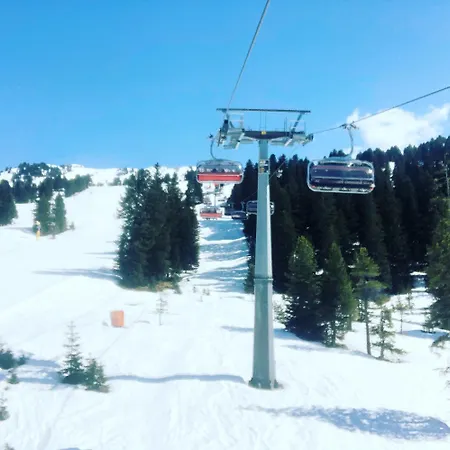 Panoramaview Garten Sauna Out *