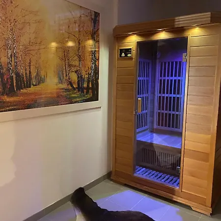Platzhirsch Leo Panorama View Sauna Apartmán